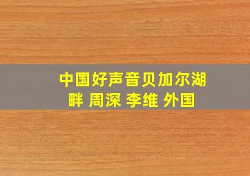 中国好声音贝加尔湖畔 周深 李维 外国